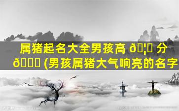 属猪起名大全男孩高 🦊 分 🐛 (男孩属猪大气响亮的名字)